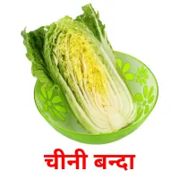 चीनी बन्दा picture flashcards