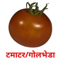 टमाटर/गोलभेडा picture flashcards