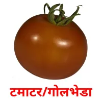 टमाटर/गोलभेडा picture flashcards