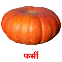 फर्सी picture flashcards