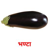 भण्टा picture flashcards