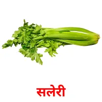 सलेरी picture flashcards