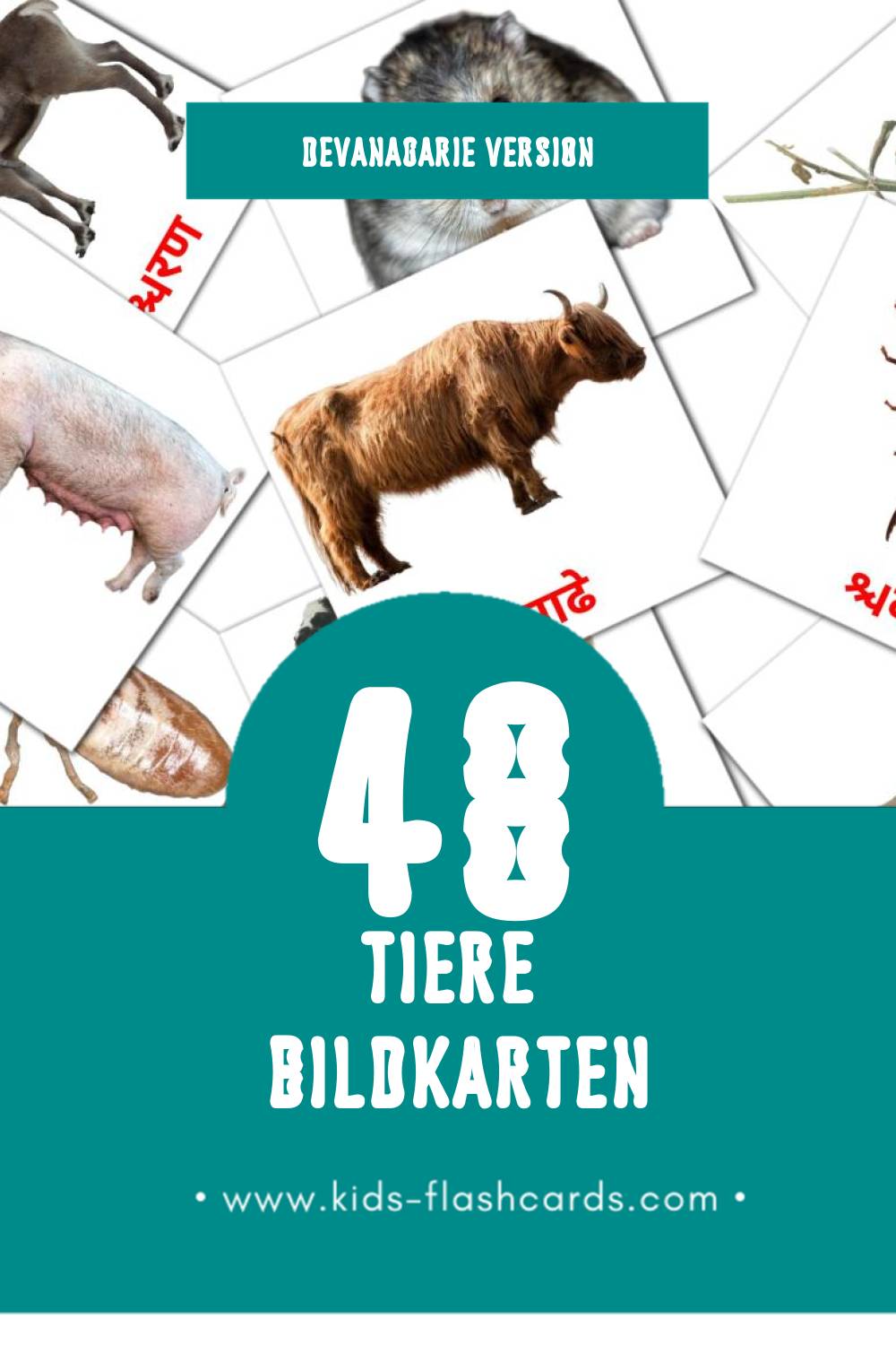 Visual जानवर Flashcards für Kleinkinder (48 Karten in Devanagari)