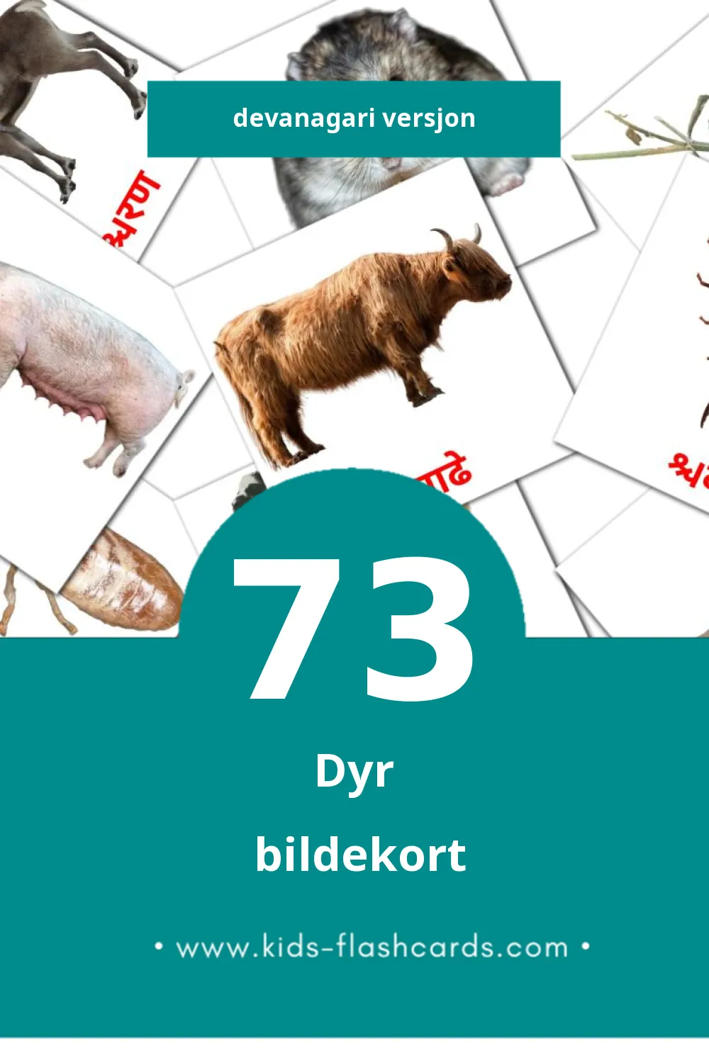 Visuelle जानवर bildekort for småbarn (73 kort på Devanagari)