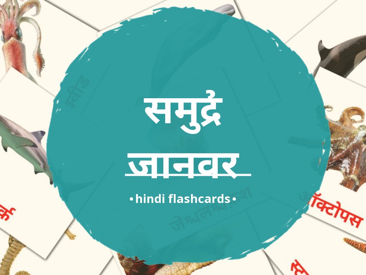 29 FREE Sea animals Flashcards in 4 PDF formats | Hindi Pictures