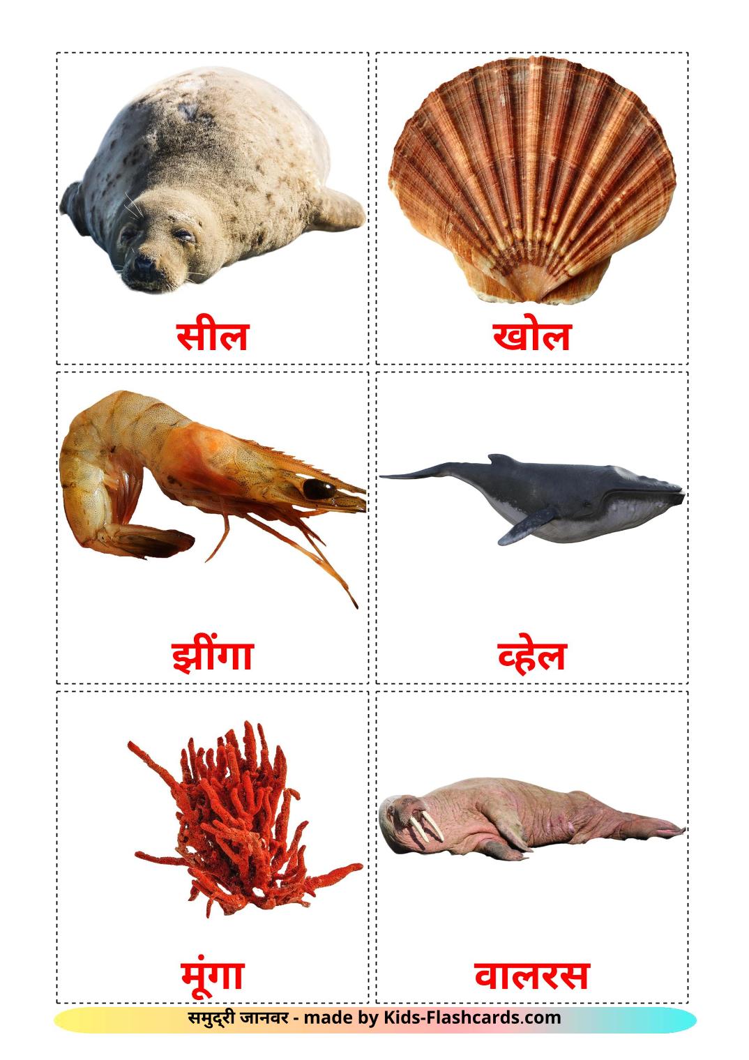 29 FREE Sea animals Flashcards in 4 PDF formats | Hindi Pictures