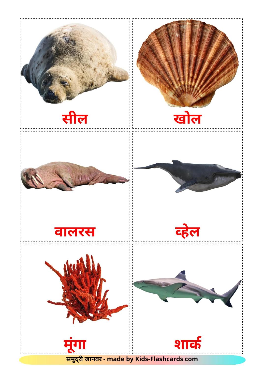 Sea animals - 30 Free Printable hindi Flashcards 