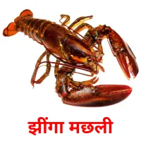 झींगा मछली picture flashcards