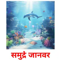 समुद्री जानवर picture flashcards