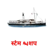 स्टीम शिप picture flashcards