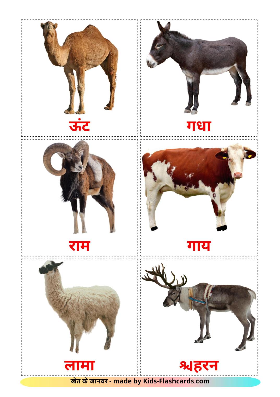 Farm animals - 15 Free Printable hindi Flashcards 