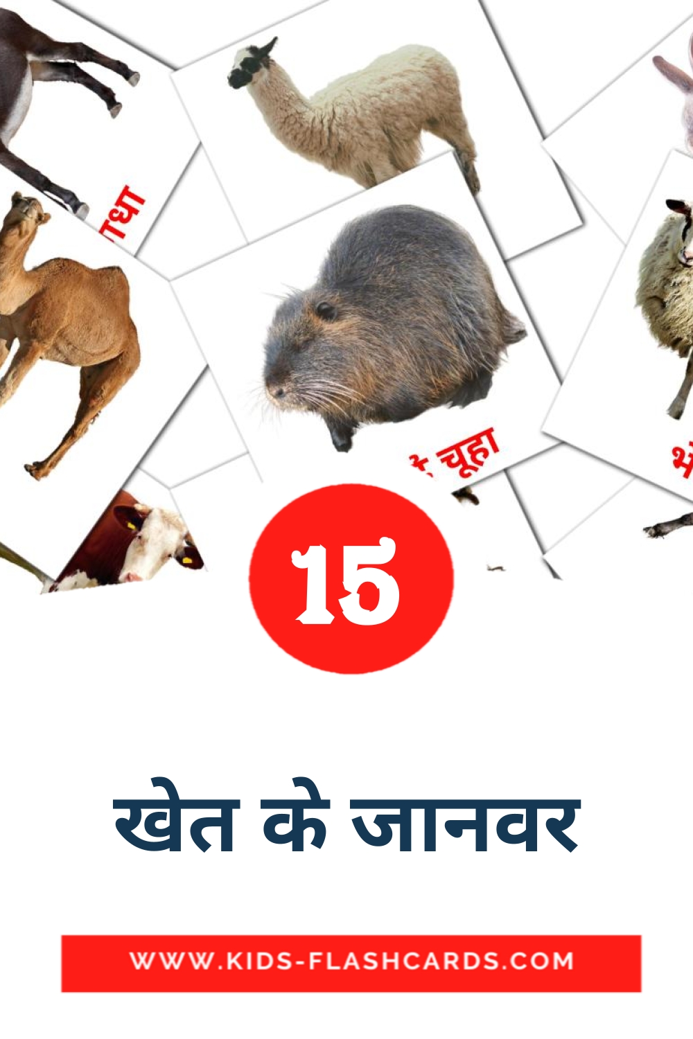 15 खेत के जानवर Picture Cards for Kindergarden in hindi