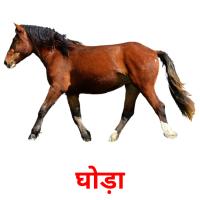 घोड़ा card for translate