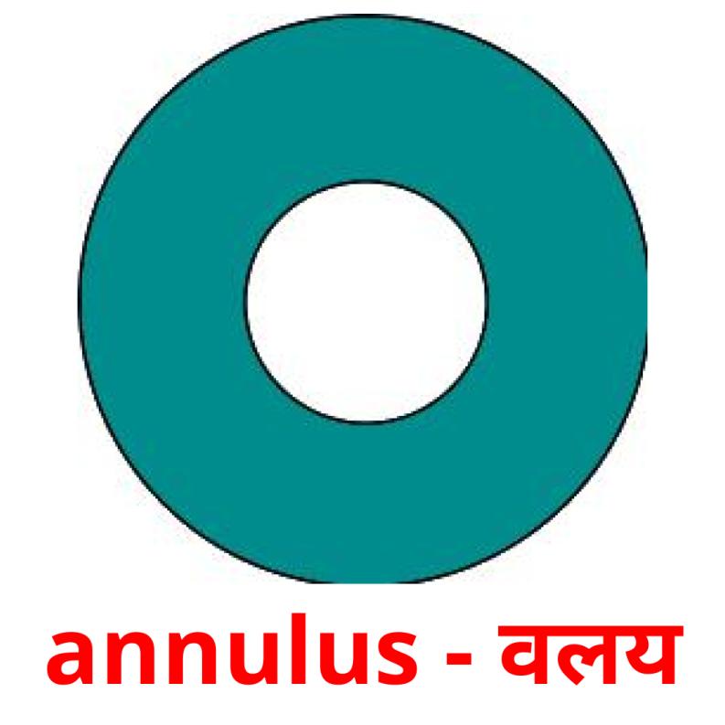 annulus - वलय picture flashcards