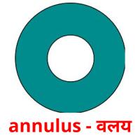 annulus - वलय Tarjetas didacticas