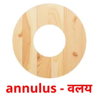 annulus - वलय flashcards illustrate