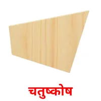 चतुष्कोष flashcards illustrate