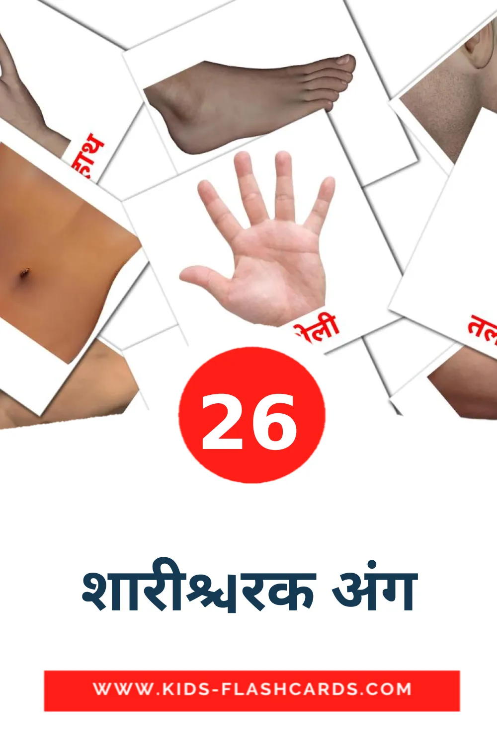 26 carte illustrate di शारीरिक अंग per la scuola materna in hindi