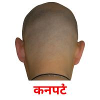 कनपटी picture flashcards