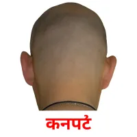 कनपटी flashcards illustrate