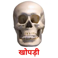 खोपड़ी flashcards illustrate