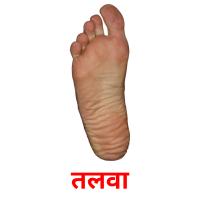 तलवा picture flashcards
