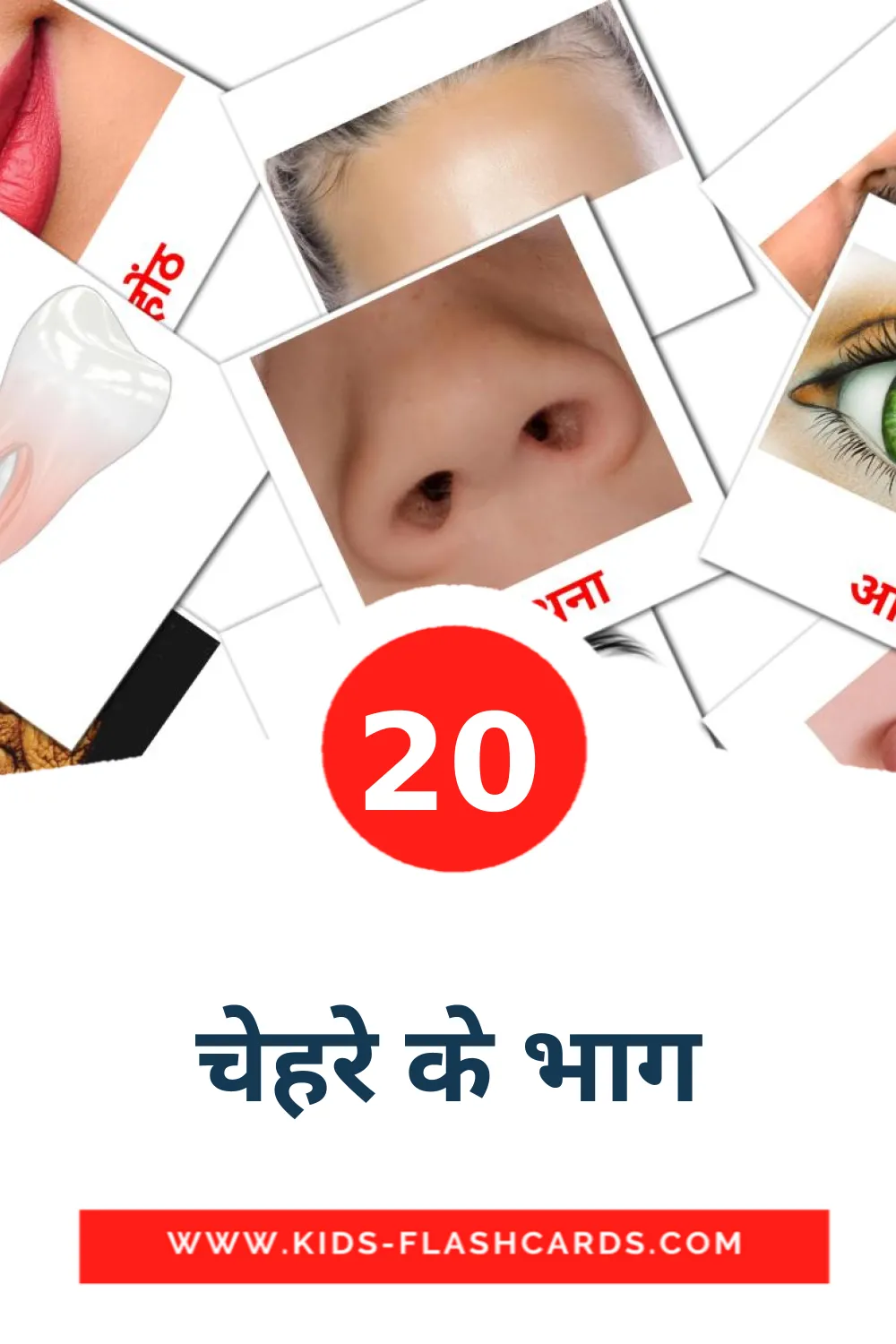 20 tarjetas didacticas de चेहरे के भाग para el jardín de infancia en Hindi