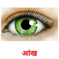 आंख Tarjetas didacticas