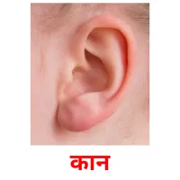 कान Tarjetas didacticas