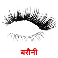 बरौनी Tarjetas didacticas