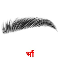 भौं Tarjetas didacticas