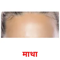 माथा Tarjetas didacticas