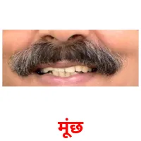 मूंछ Tarjetas didacticas