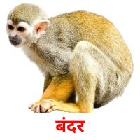 बंदर picture flashcards