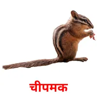 चीपमक ansichtkaarten