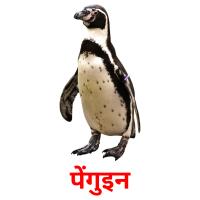पेंगुइन card for translate