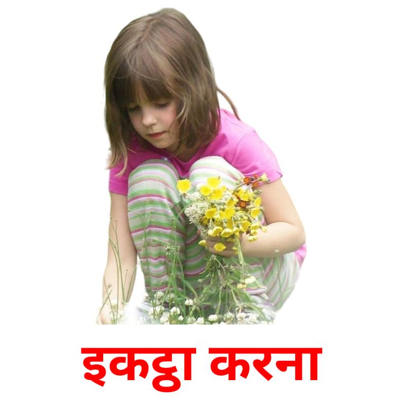 इकट्ठा करना picture flashcards