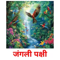 जंगली पक्षी picture flashcards