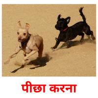 पीछा करना picture flashcards
