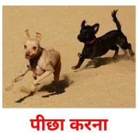 पीछा करना picture flashcards