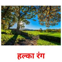 हल्का रंग picture flashcards