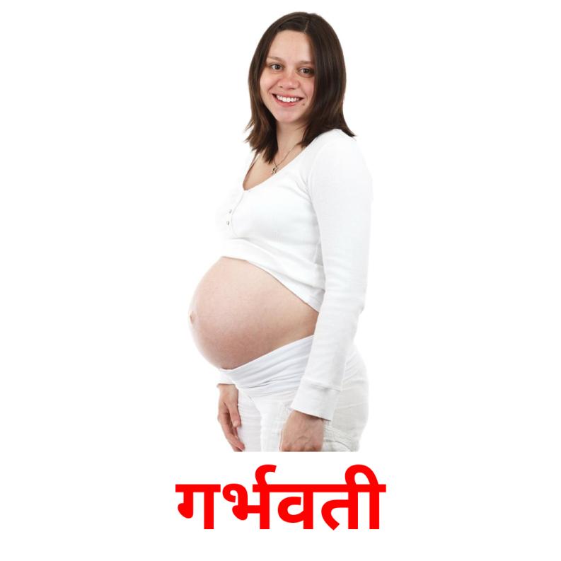 गर्भवती picture flashcards