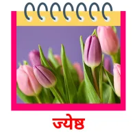 ज्येष्ठ flashcards illustrate