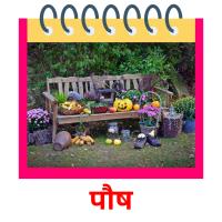 पौष picture flashcards