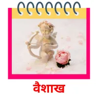 वैशाख flashcards illustrate