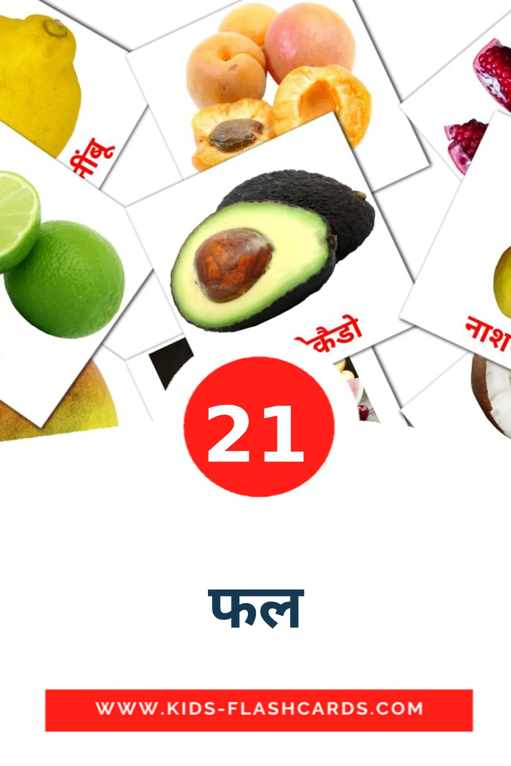 21 फल Picture Cards for Kindergarden in hindi