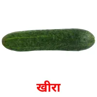 खीरा flashcards illustrate