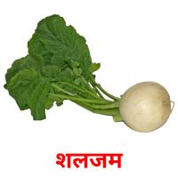 शलजम picture flashcards