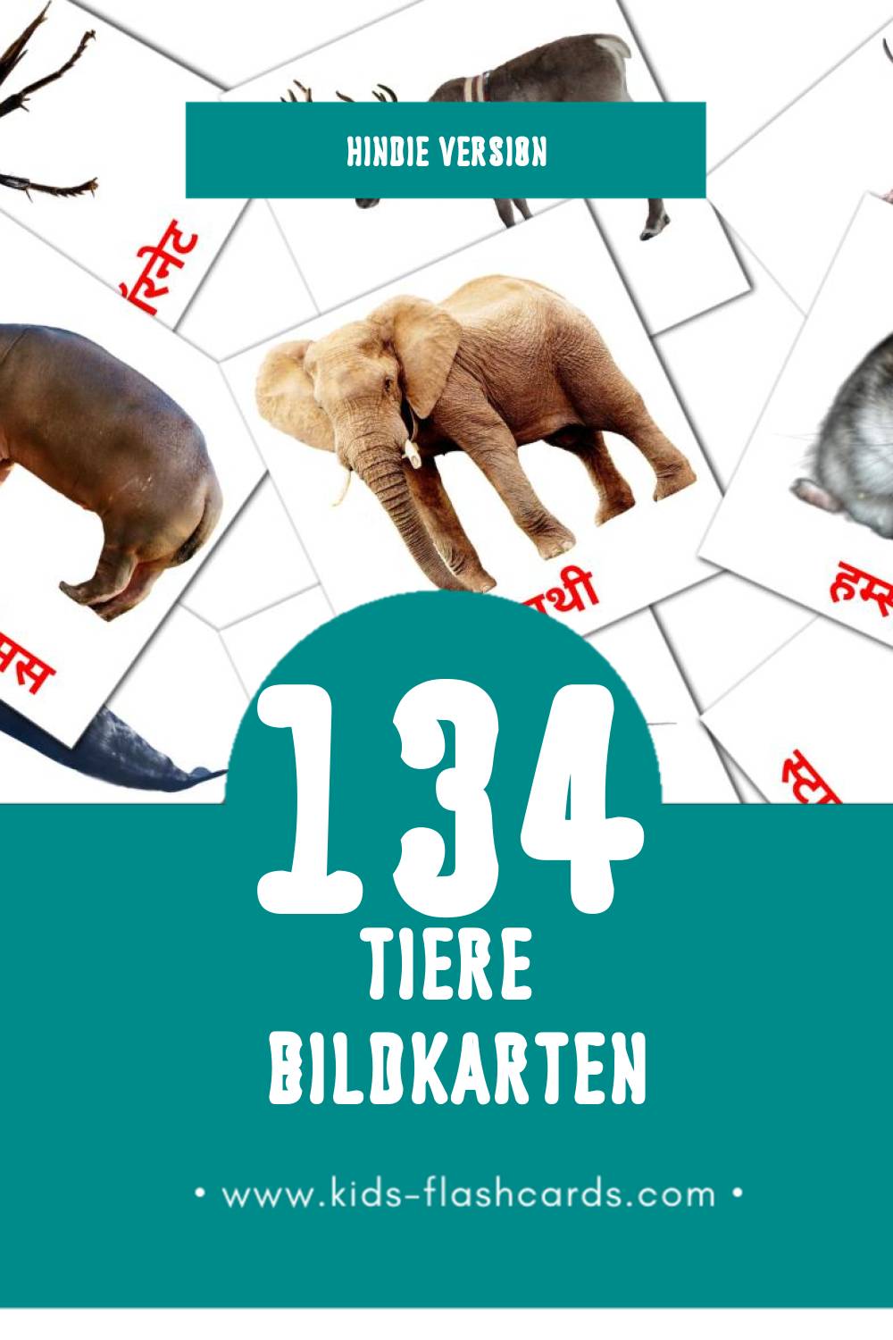 Visual जानवर Flashcards für Kleinkinder (134 Karten in Hindi)