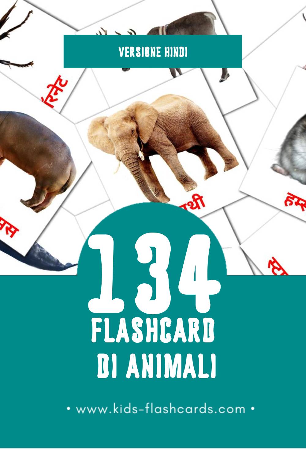 Schede visive sugli जानवर per bambini (134 schede in Hindi)